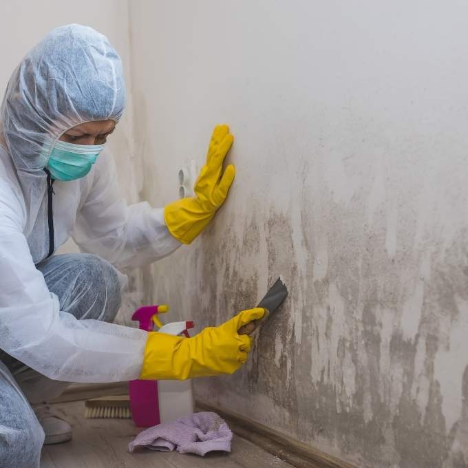 Mold Remediation In Alabama	Near Me